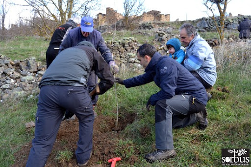 Reforestación en Sarnago en colaboración con Creperia Lilot